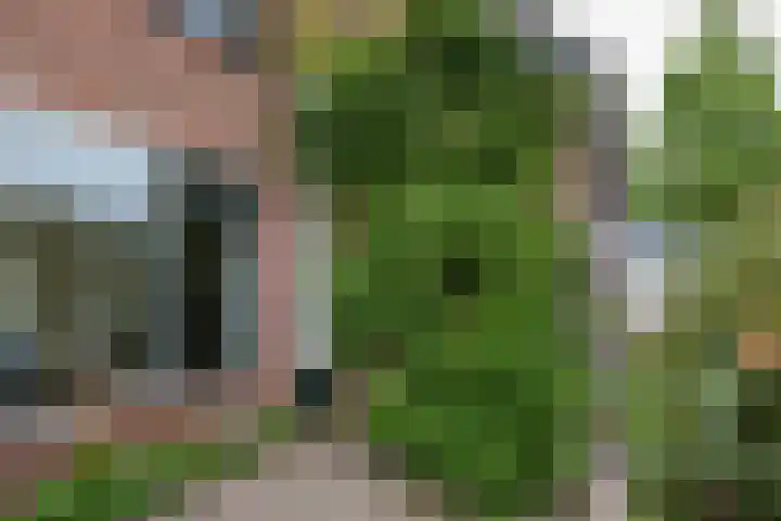 Merelhof 15 Rockanje thumbnail 8