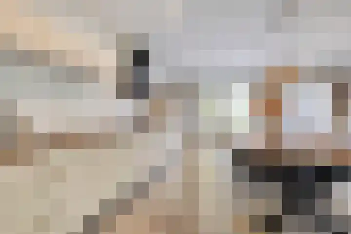 Merelhof 16 Wanssum thumbnail 11
