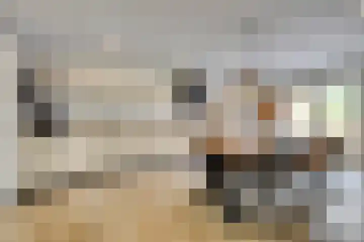 Merelhof 16 Wanssum thumbnail 14