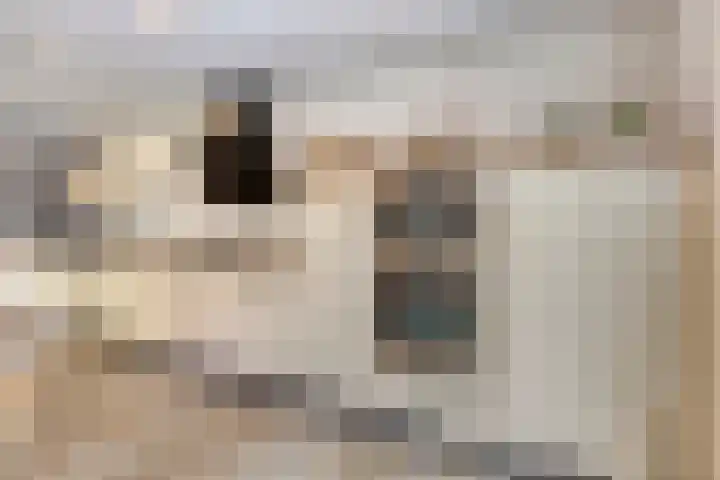Merelhof 16 Wanssum thumbnail 17