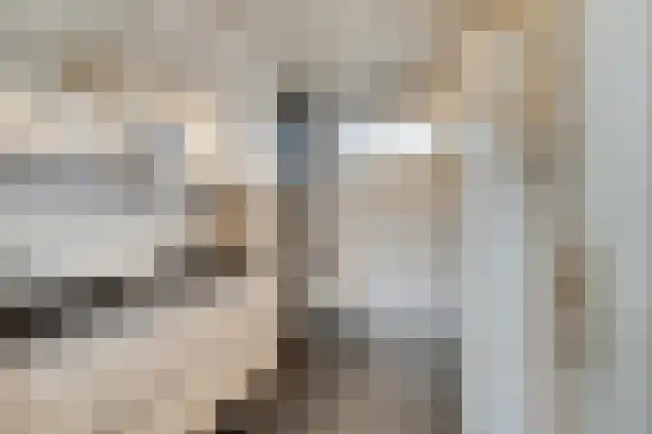 Merelhof 16 Wanssum thumbnail 28