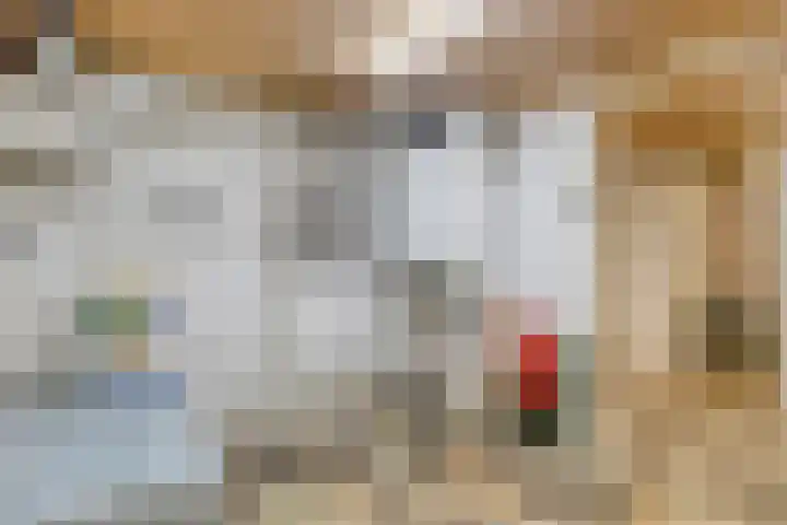 Merelhof 16 Wanssum thumbnail 32