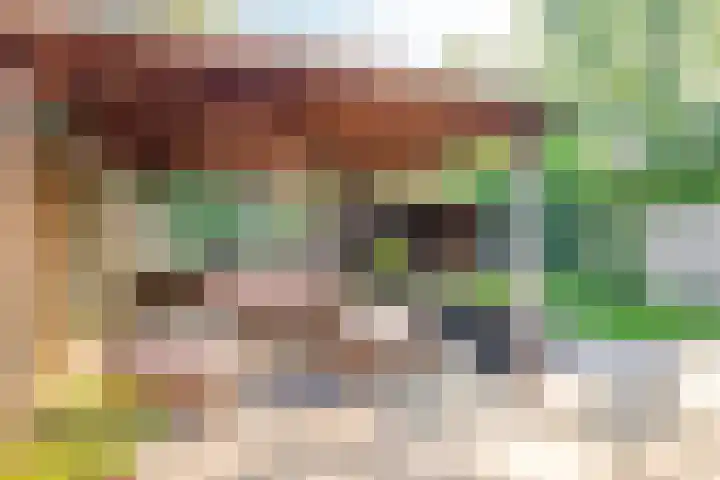 Merelhof 16 Wanssum thumbnail 38