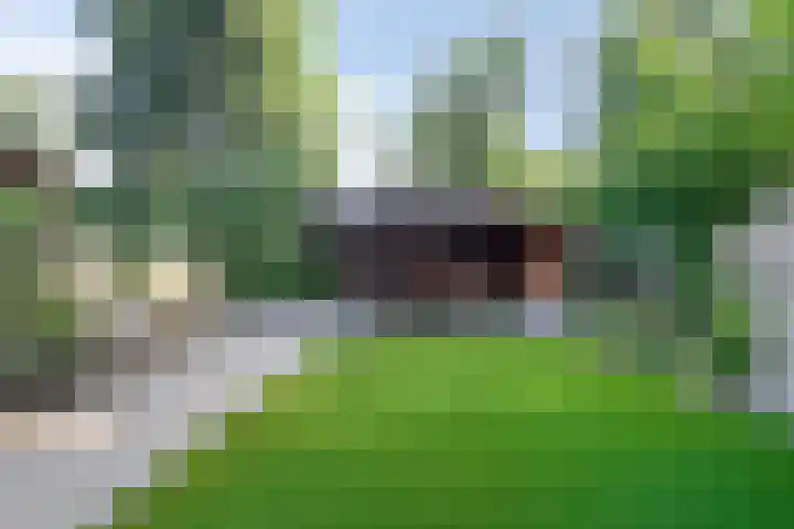 Merelhof 16 Wanssum thumbnail 39