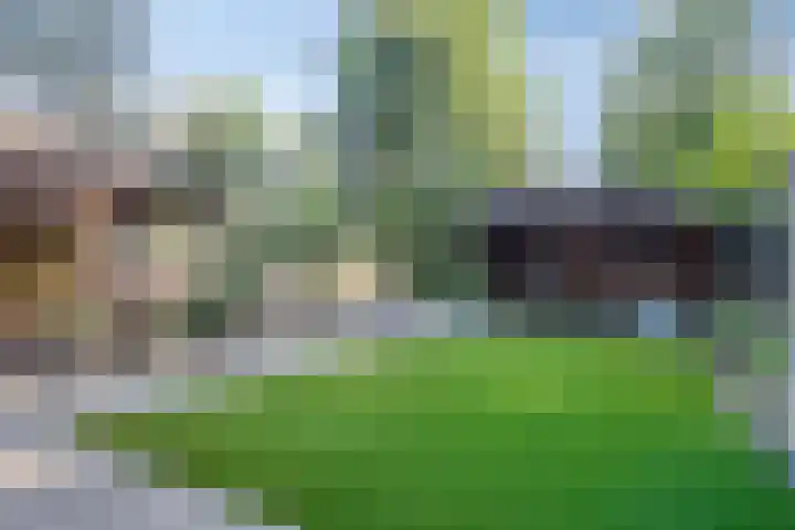 Merelhof 16 Wanssum thumbnail 40