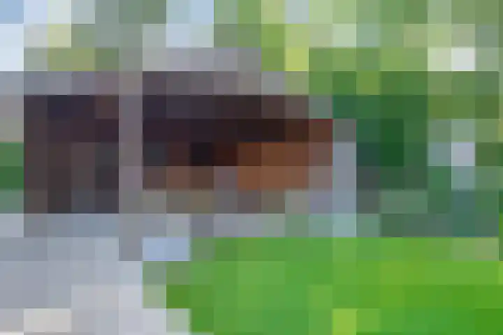 Merelhof 16 Wanssum thumbnail 41