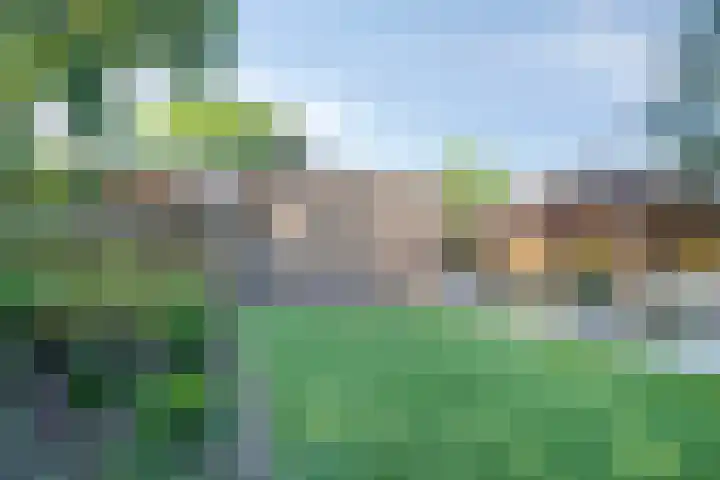 Merelhof 16 Wanssum thumbnail 44