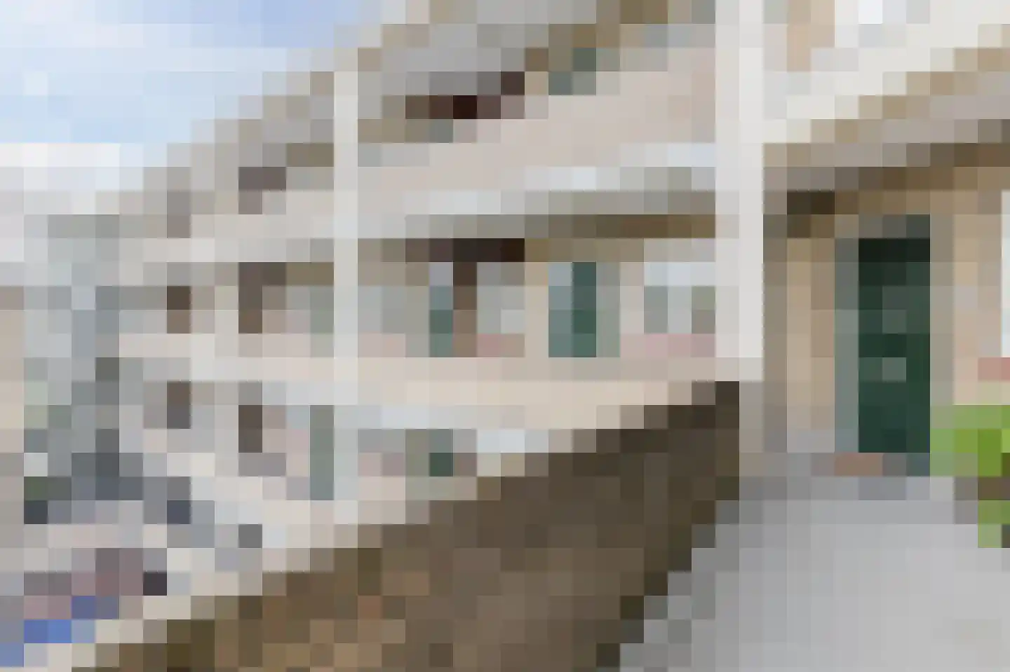 Merelhof 18 Baarn thumbnail 32