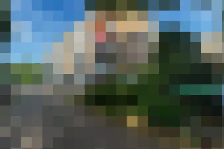 Merelhof 19 Bussum thumbnail 24
