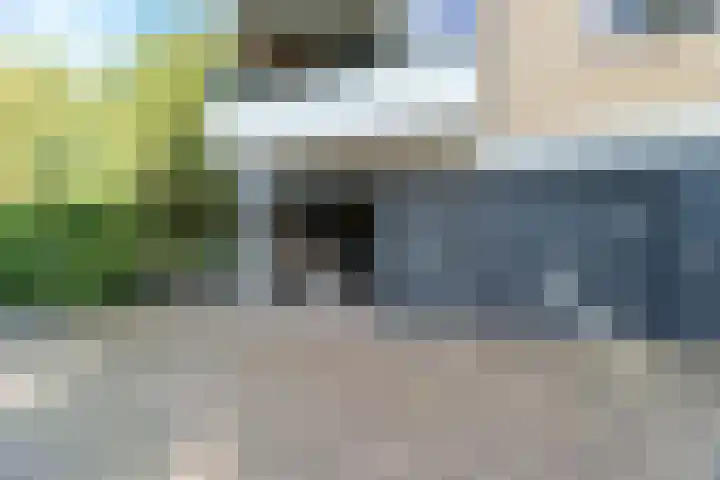 Merelhof 19 Bussum thumbnail 27