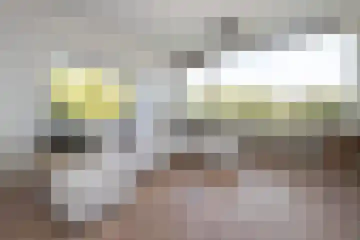 Merelhof 19 Bussum thumbnail 7