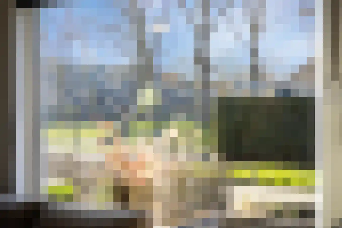 Merelhof 32 Heinkenszand thumbnail 11