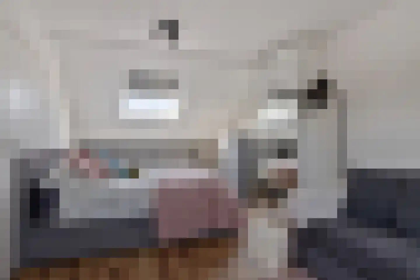 Merelhof 32 Heinkenszand thumbnail 39