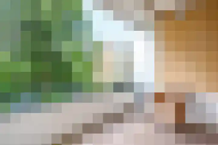 Merelhof 37 Bussum thumbnail 22