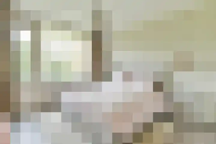 Merelhof 37 Bussum thumbnail 24