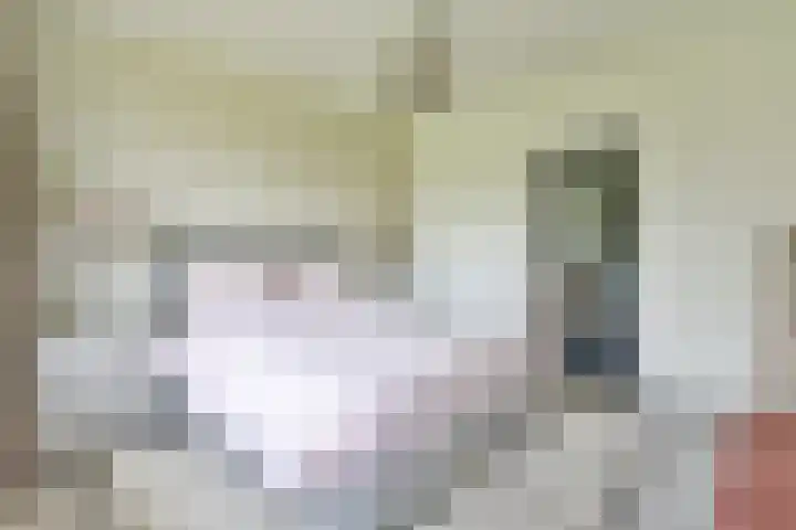 Merelhof 37 Bussum thumbnail 26