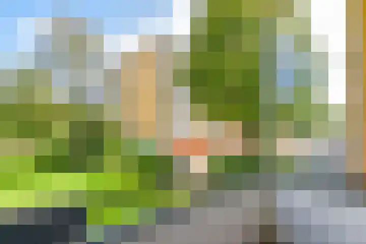 Merelhof 37 Bussum thumbnail 29