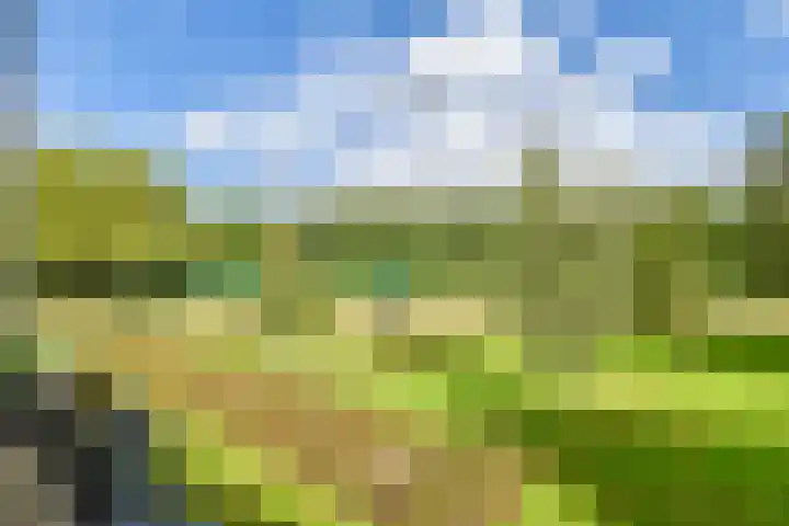 Merelhof 37 Bussum thumbnail 33