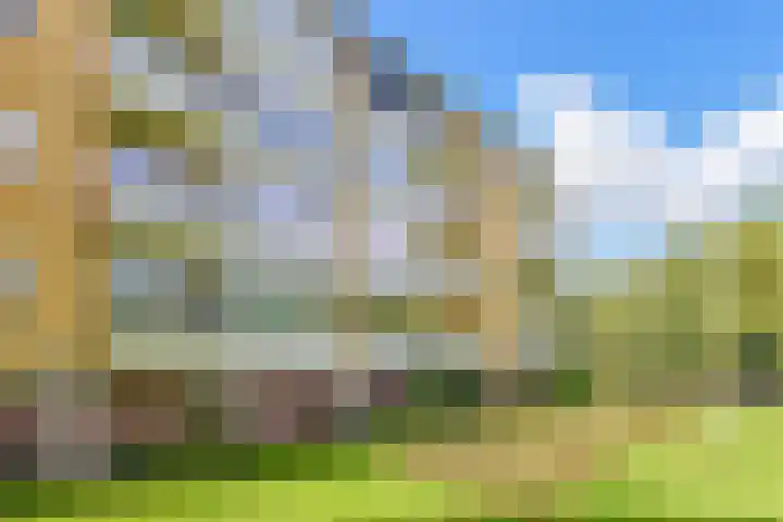 Merelhof 37 Bussum thumbnail 5
