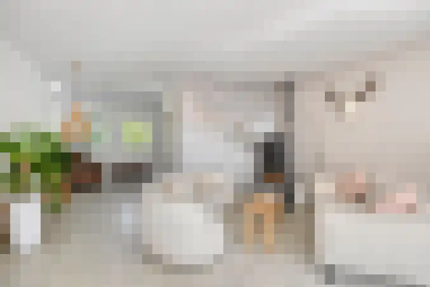 Merelhof 4 Stadskanaal thumbnail 17