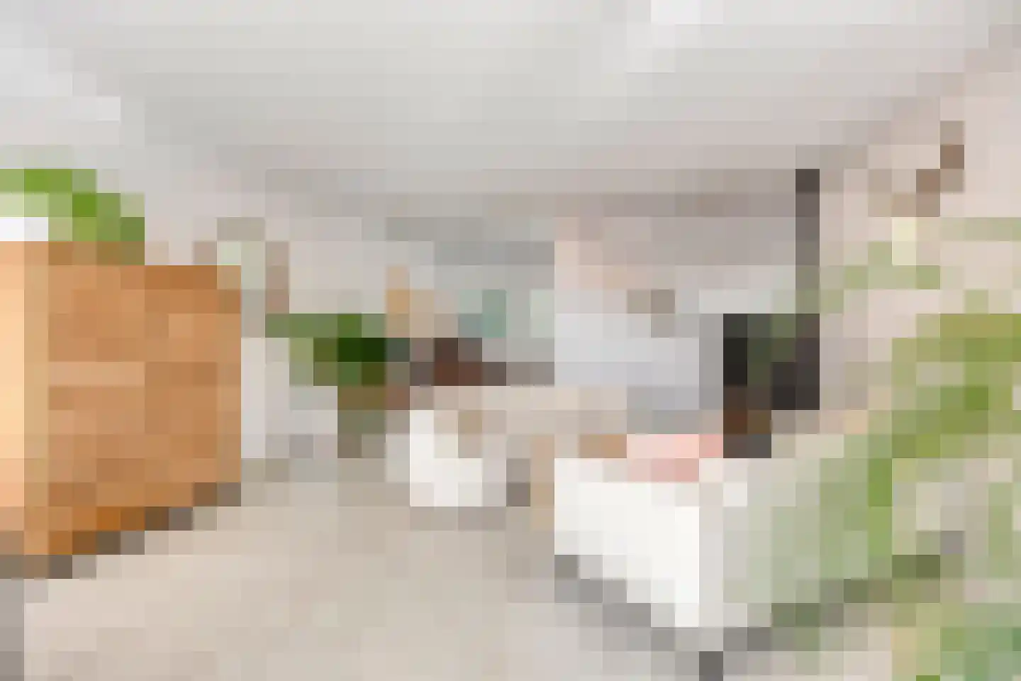 Merelhof 4 Stadskanaal thumbnail 18