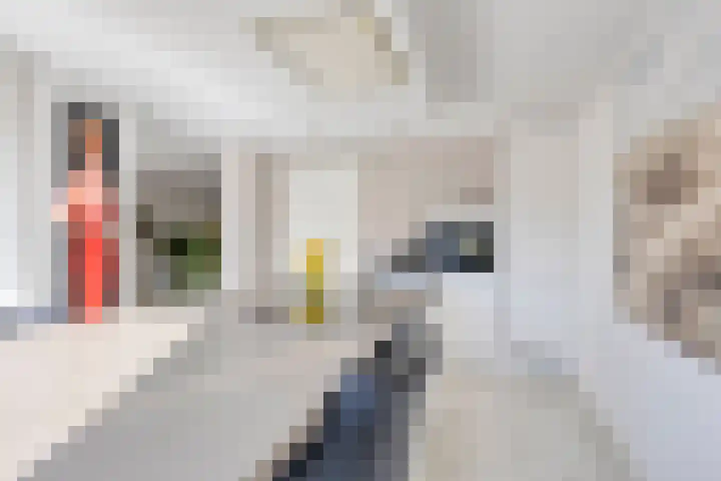 Merelhof 4 Stadskanaal thumbnail 33
