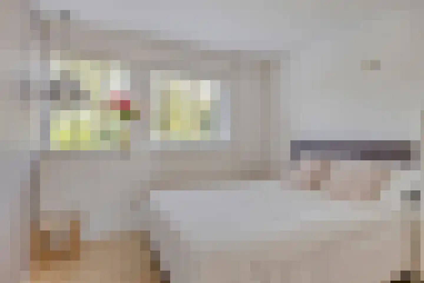 Merelhof 4 Stadskanaal thumbnail 37