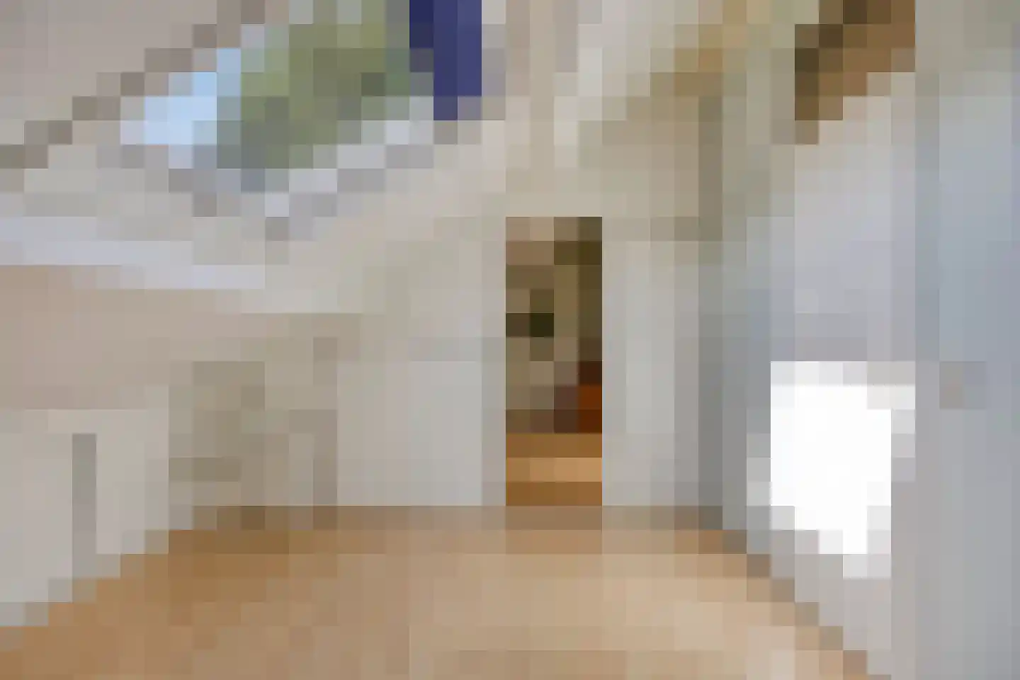 Merelhof 4 Stadskanaal thumbnail 50