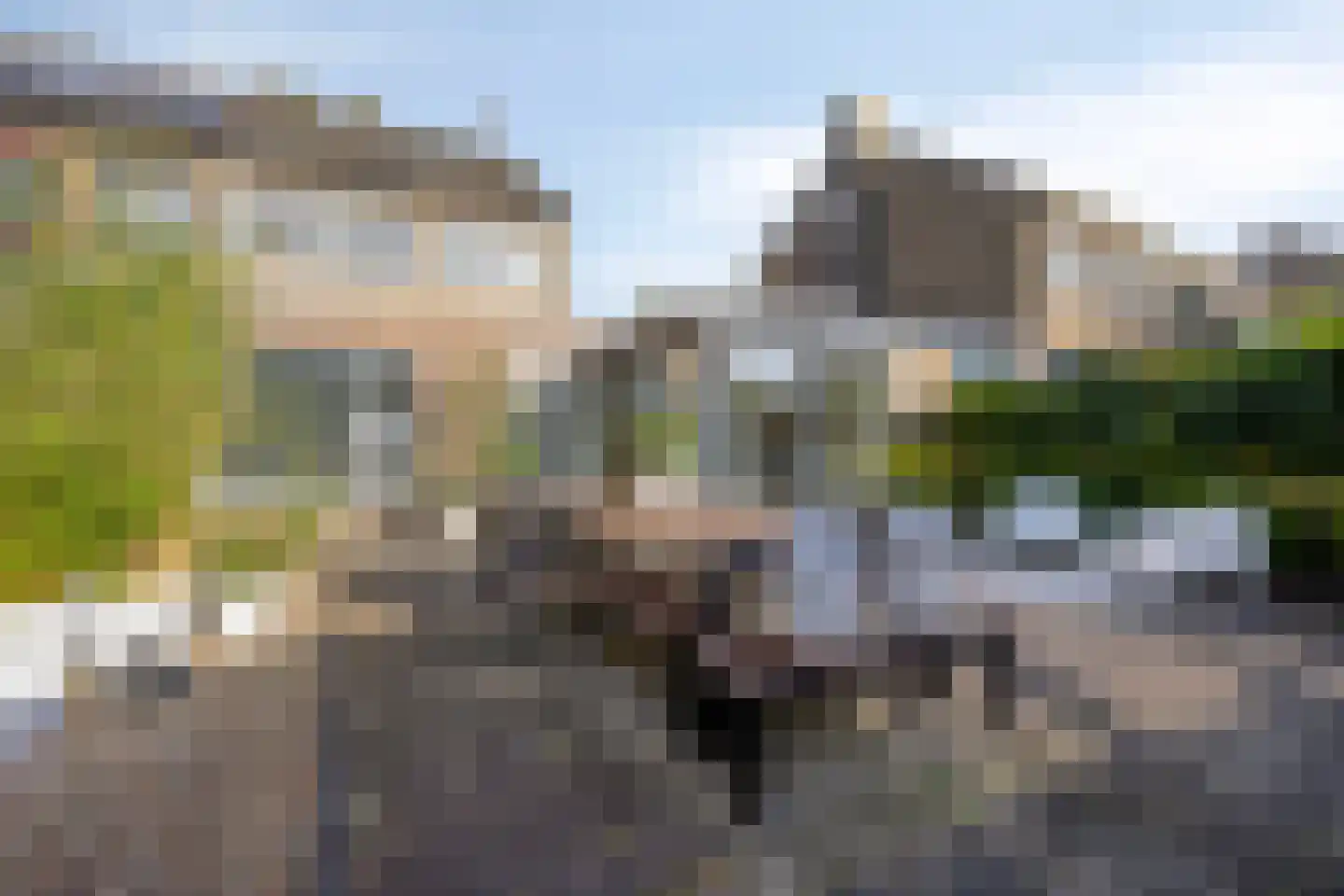 Merelhof 4 Stadskanaal thumbnail 6