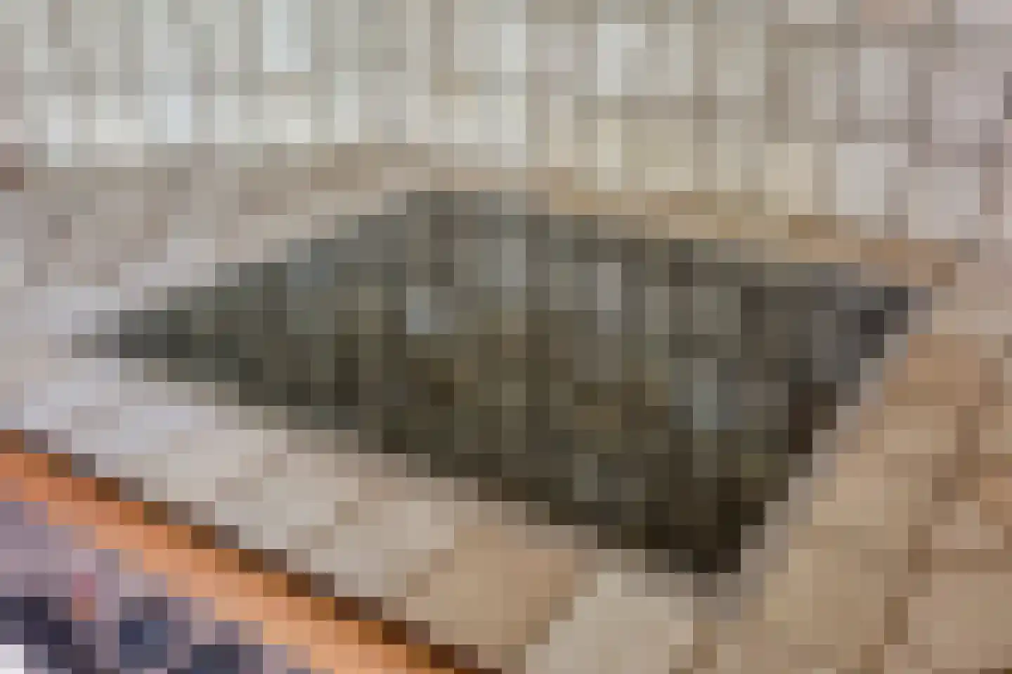 Merelhof 4 Wanssum thumbnail 13