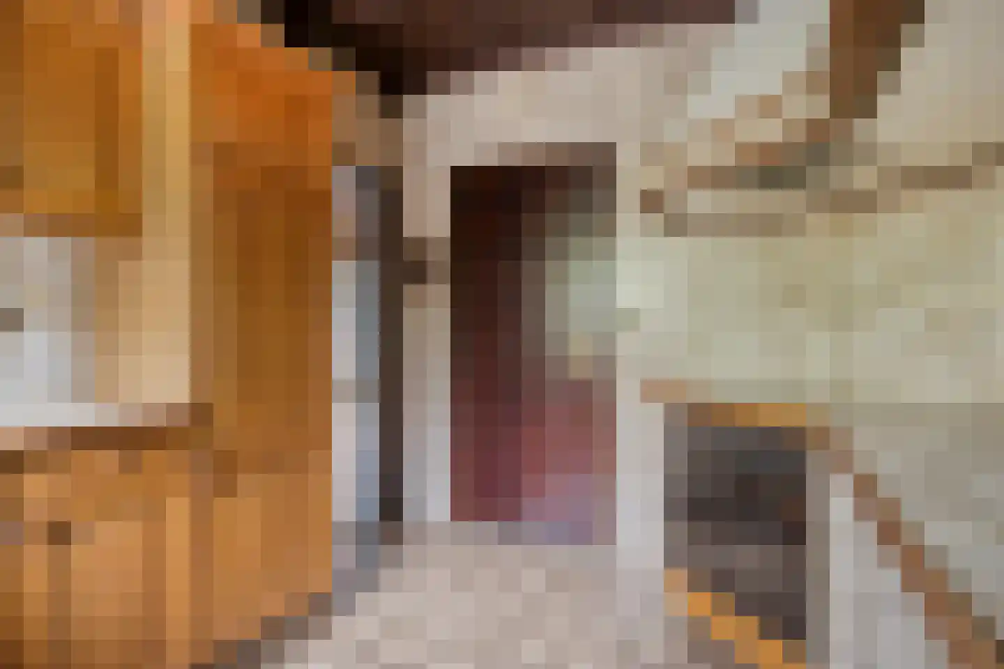Merelhof 4 Wanssum thumbnail 14