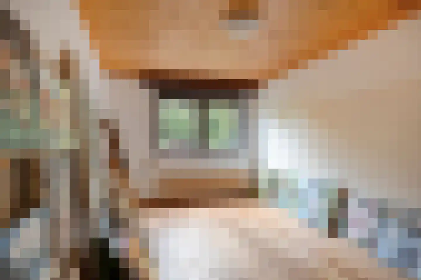 Merelhof 4 Wanssum thumbnail 18