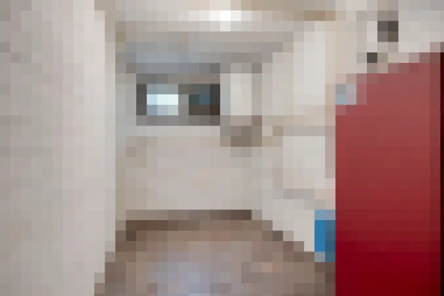 Merelhof 4 Wanssum thumbnail 25