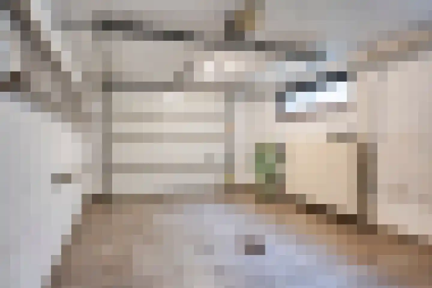 Merelhof 4 Wanssum thumbnail 26