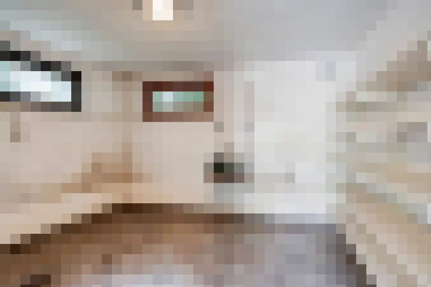 Merelhof 4 Wanssum thumbnail 28