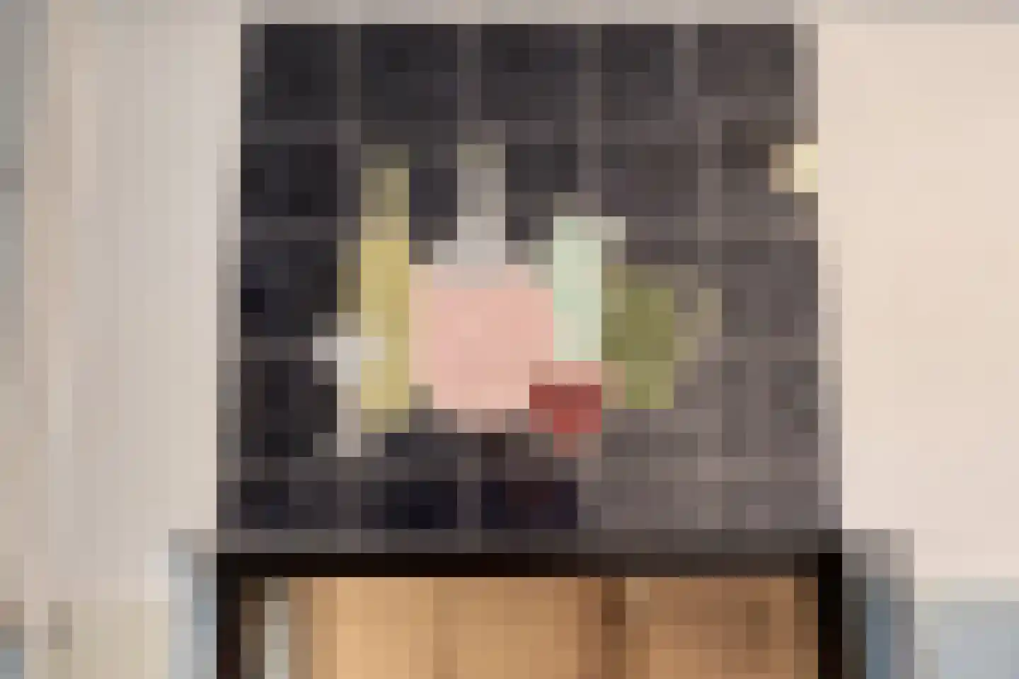 Merelhof 4 Wanssum thumbnail 31