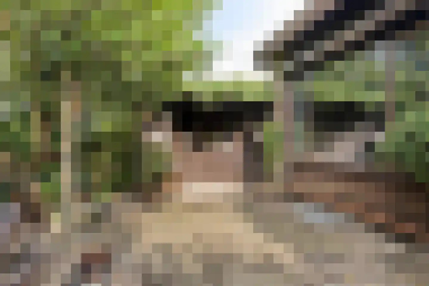 Merelhof 4 Wanssum thumbnail 35