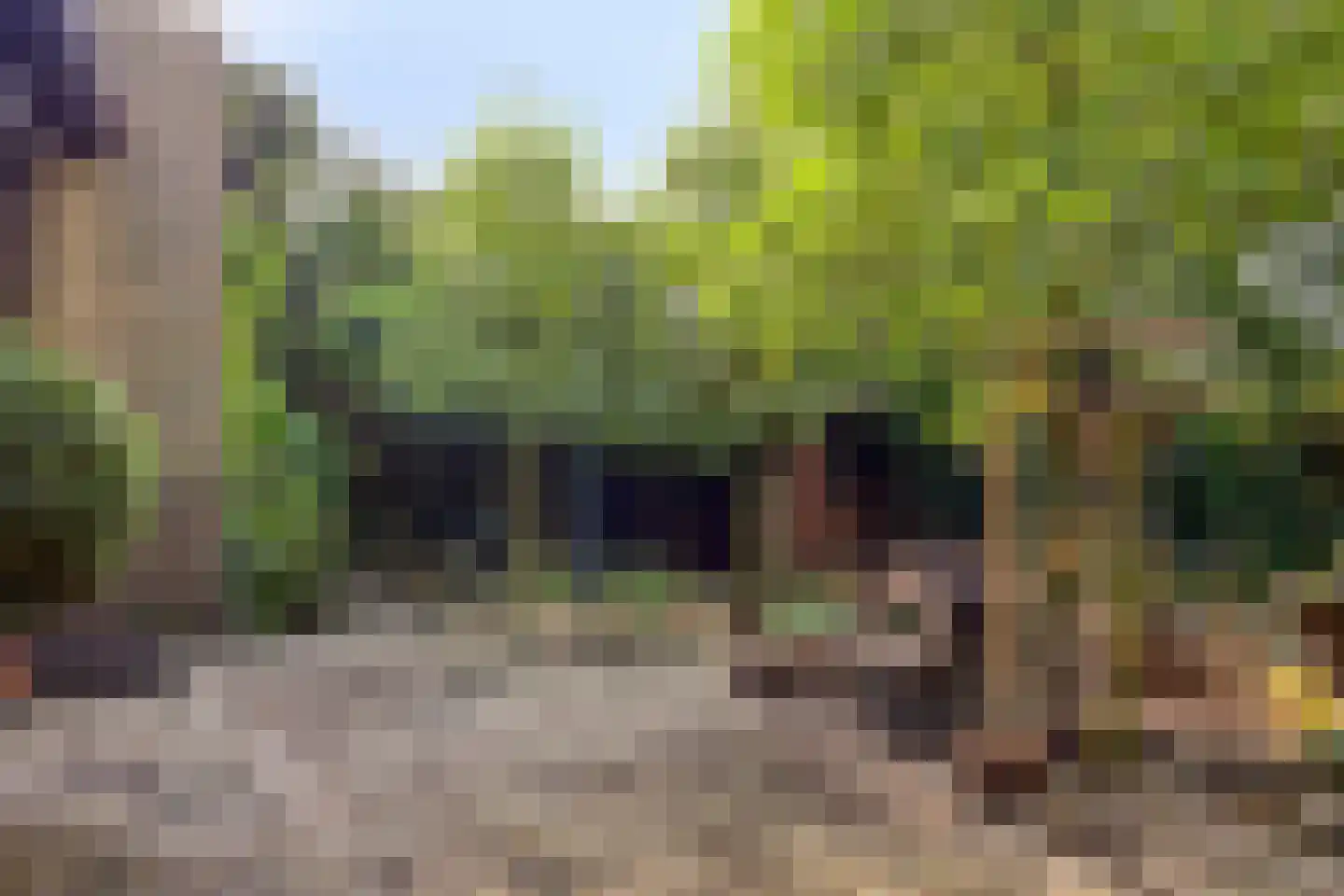 Merelhof 4 Wanssum thumbnail 36