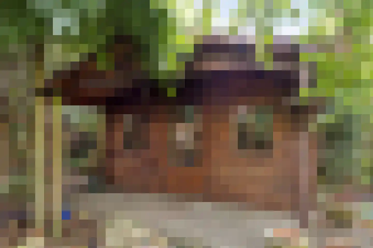 Merelhof 4 Wanssum thumbnail 37