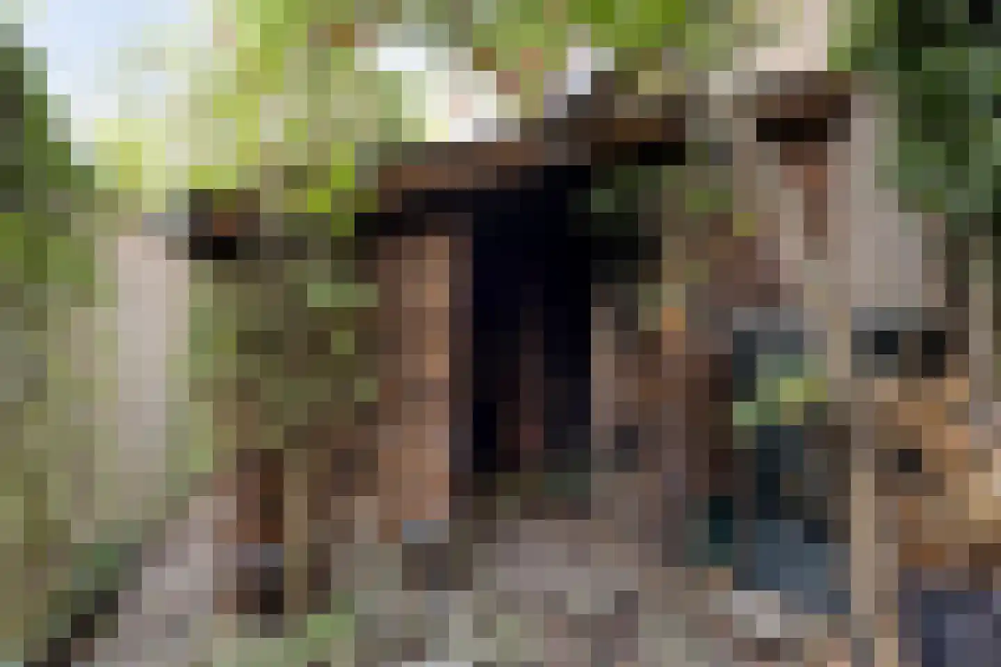 Merelhof 4 Wanssum thumbnail 39