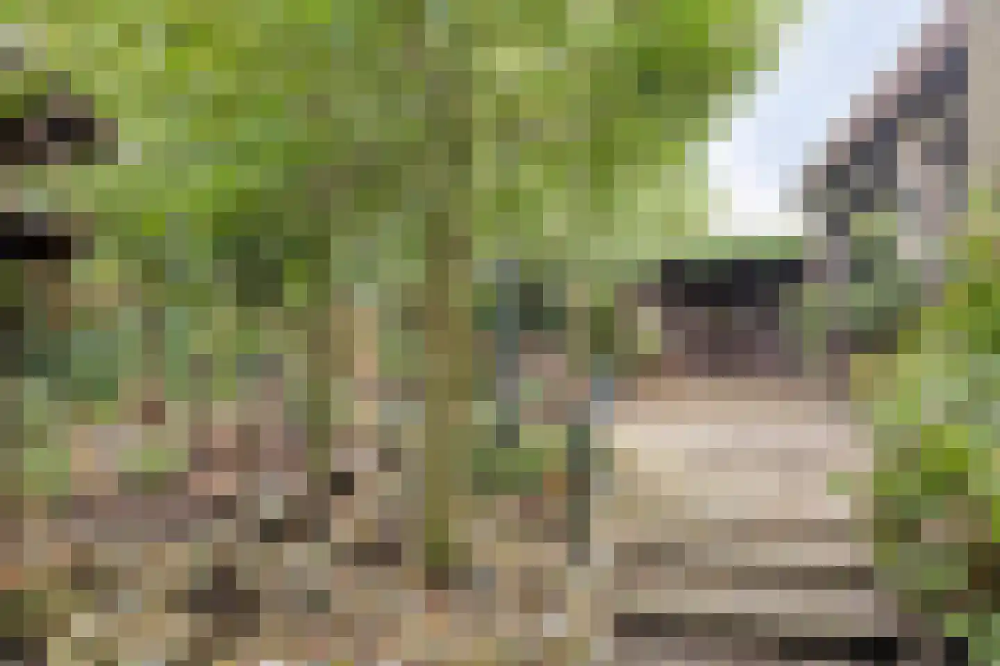 Merelhof 4 Wanssum thumbnail 40