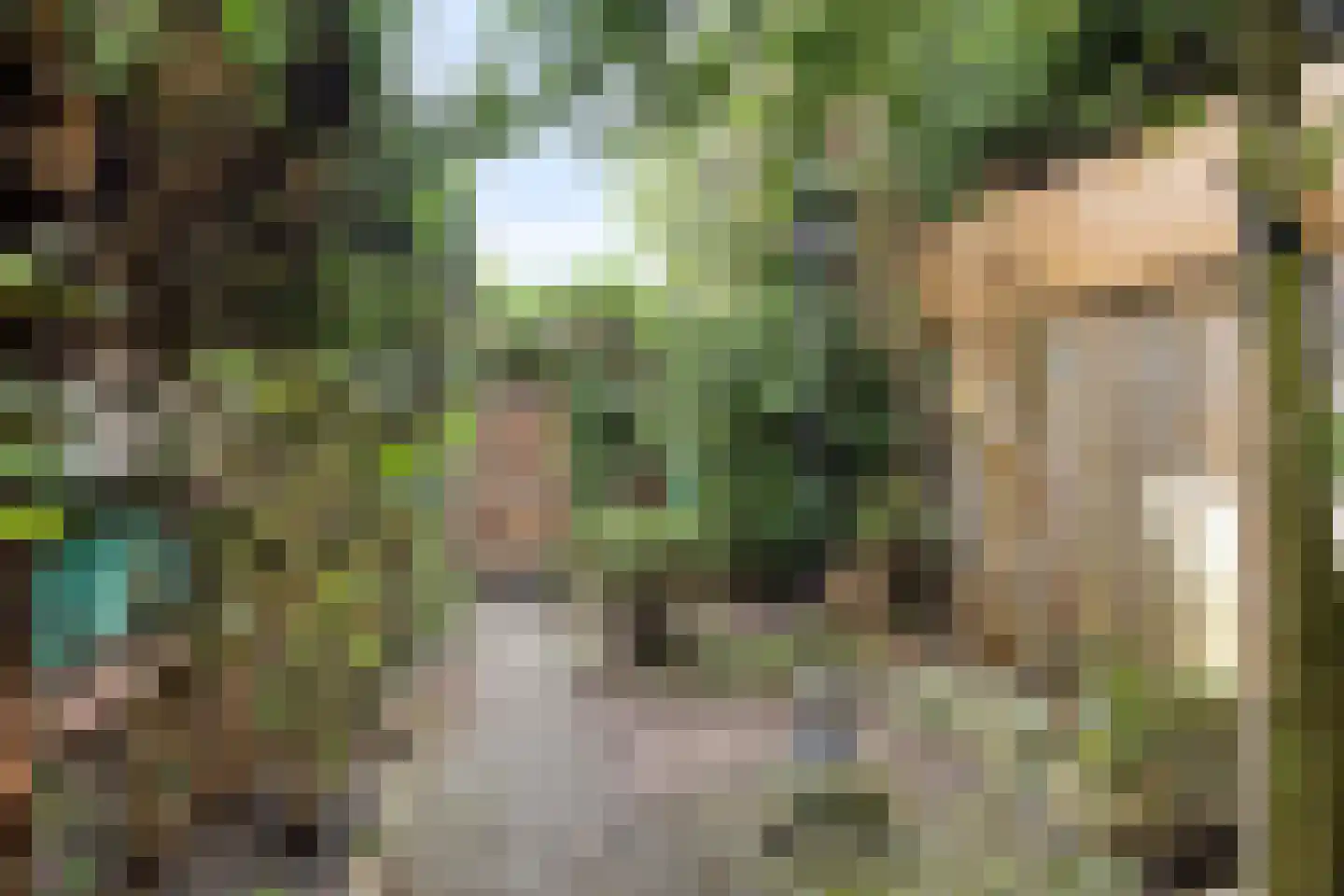 Merelhof 4 Wanssum thumbnail 41