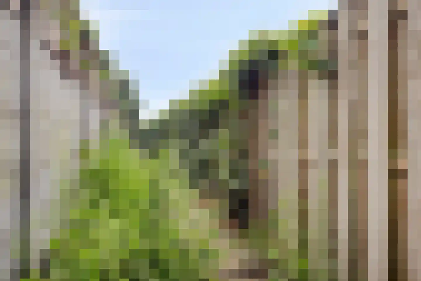 Merelhof 4 Wanssum thumbnail 42