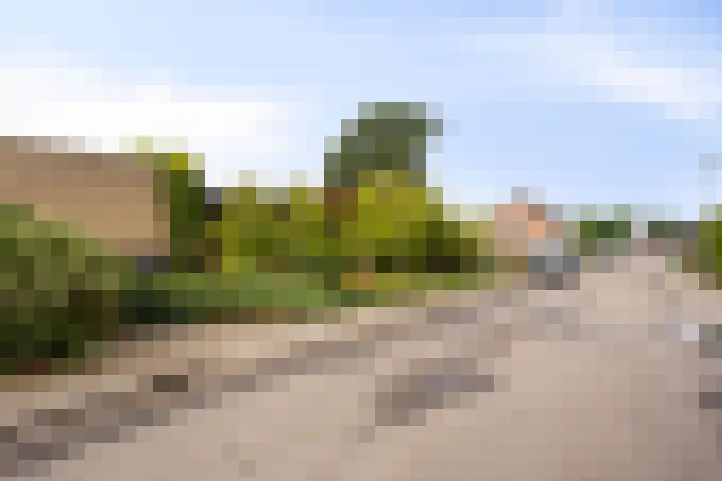 Merelhof 4 Wanssum thumbnail 43