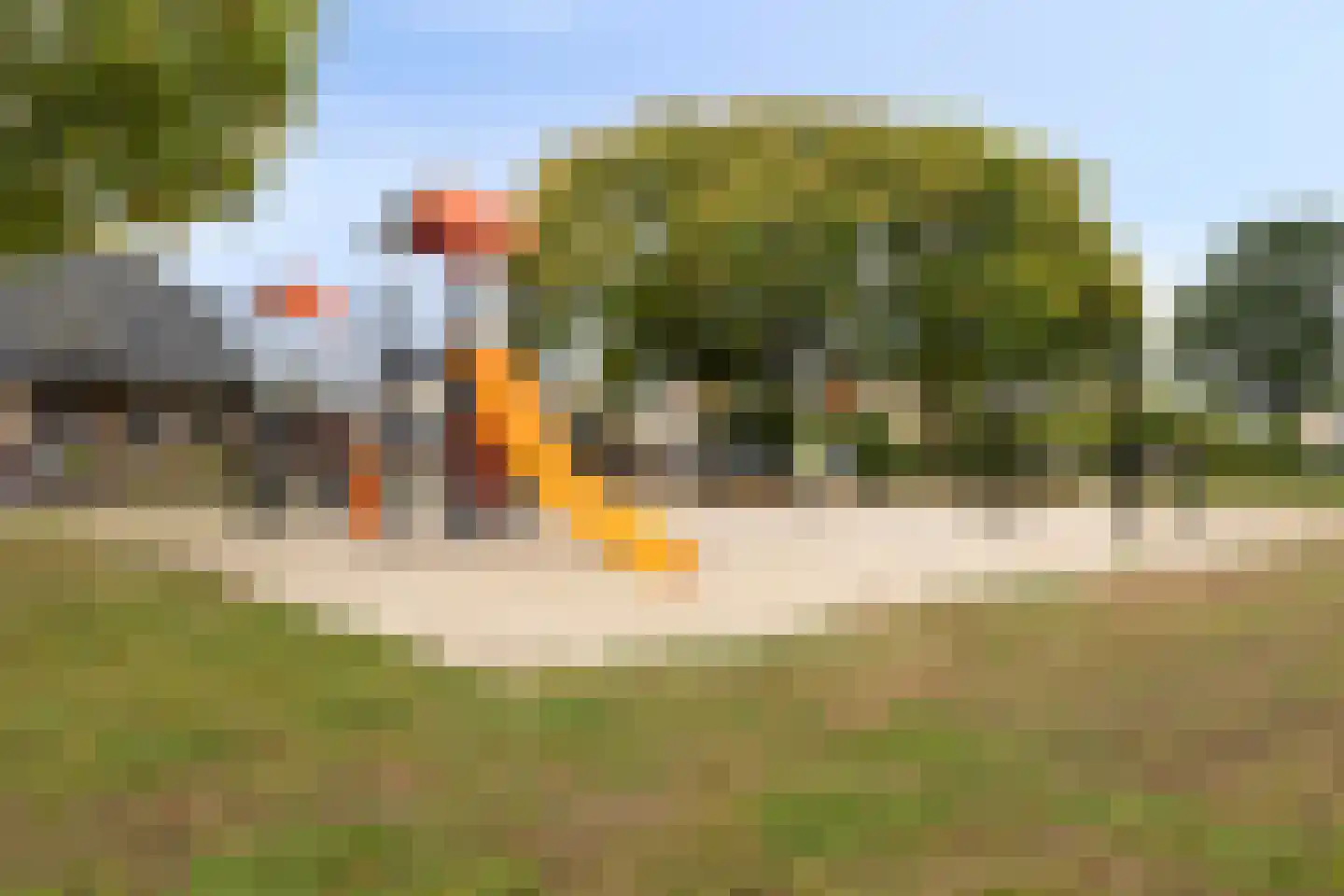 Merelhof 4 Wanssum thumbnail 45
