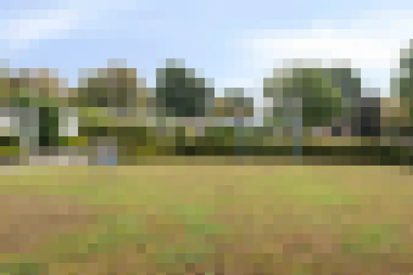 Merelhof 4 Wanssum thumbnail 46