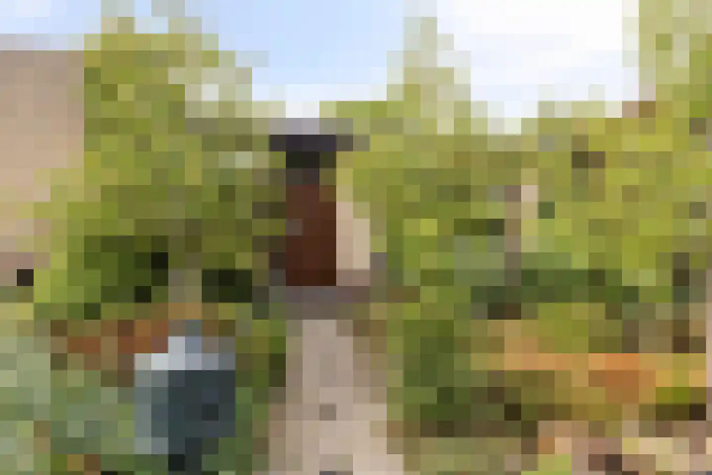 Merelhof 4 Wanssum thumbnail 5