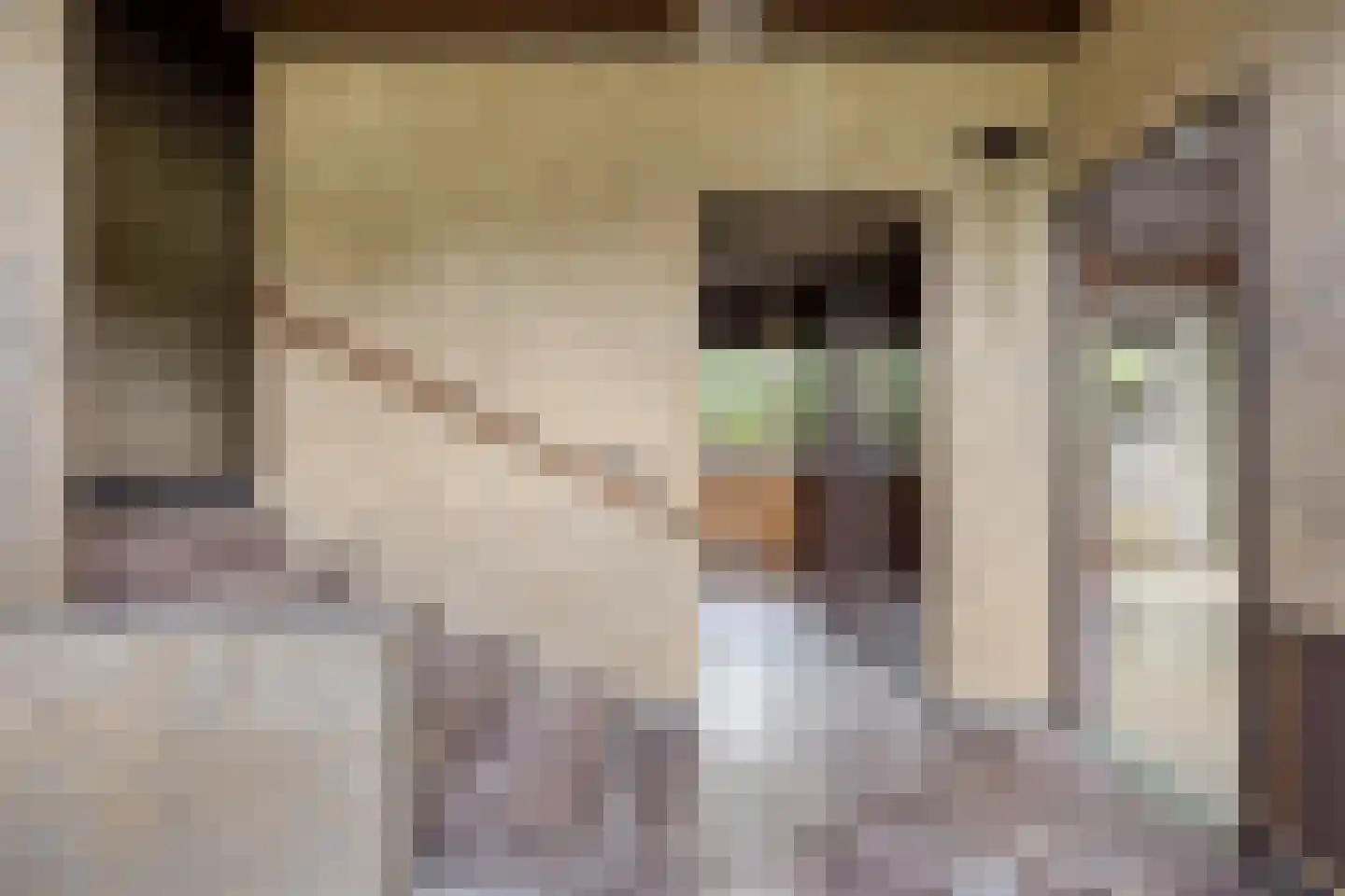 Merelhof 4 Wanssum thumbnail 6