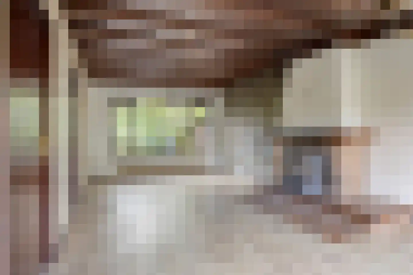 Merelhof 4 Wanssum thumbnail 7
