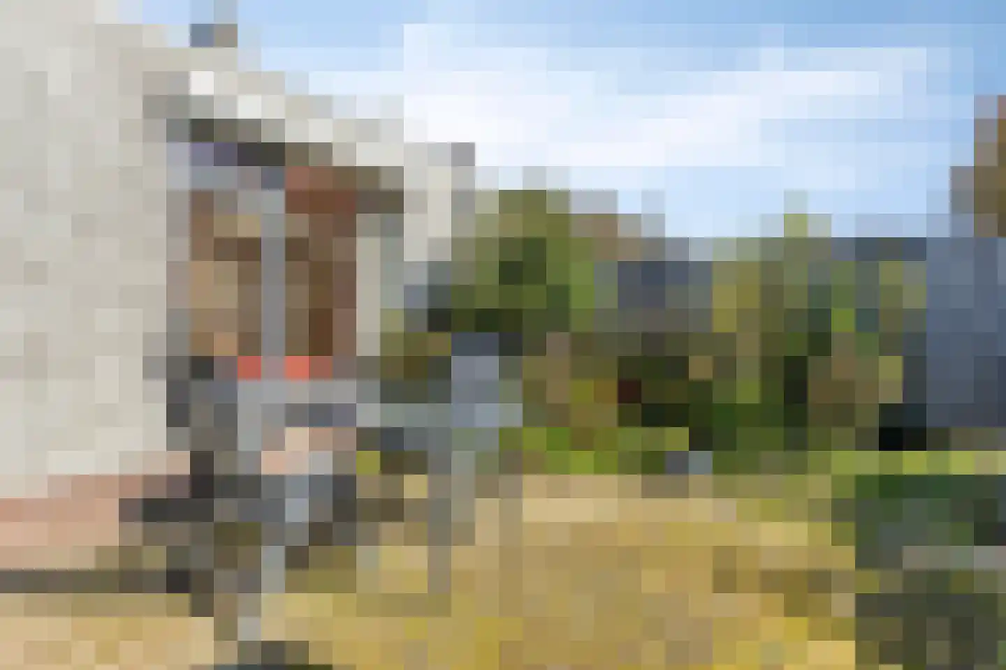 Merelhof 4 Weert thumbnail 34